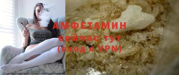 мдпв Лагань
