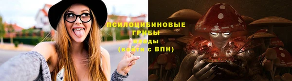 ешки Ладушкин
