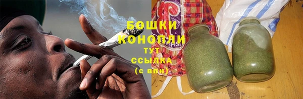 сатива Иннополис