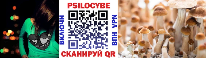Галлюциногенные грибы мухоморы  купить  сайты  Электроугли 